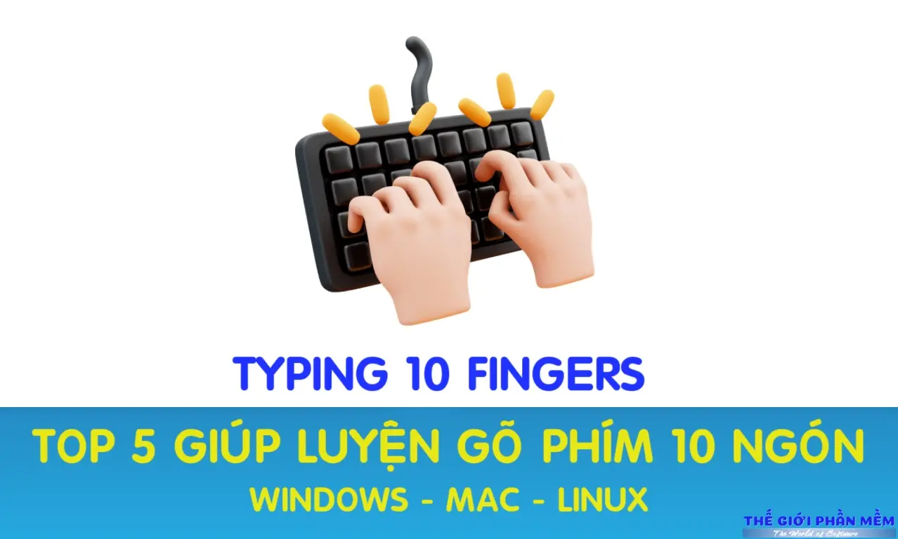 Luyện gõ chữ nhanh 10 ngón tay với các phần mềm chuyên dụng.
