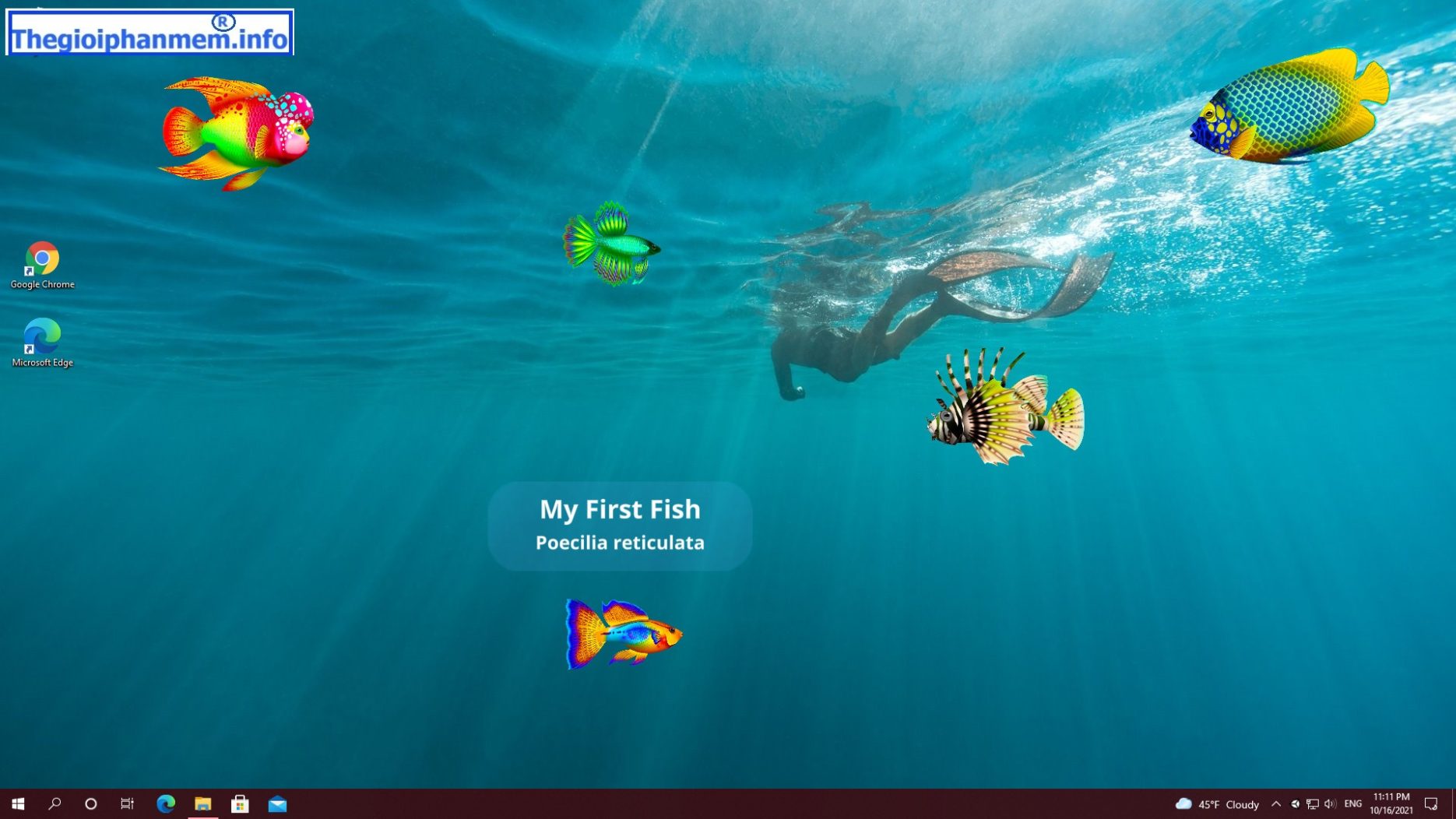 Virtual Aquarium – Nuôi cá thực tế ảo trên Máy tính của bạn.